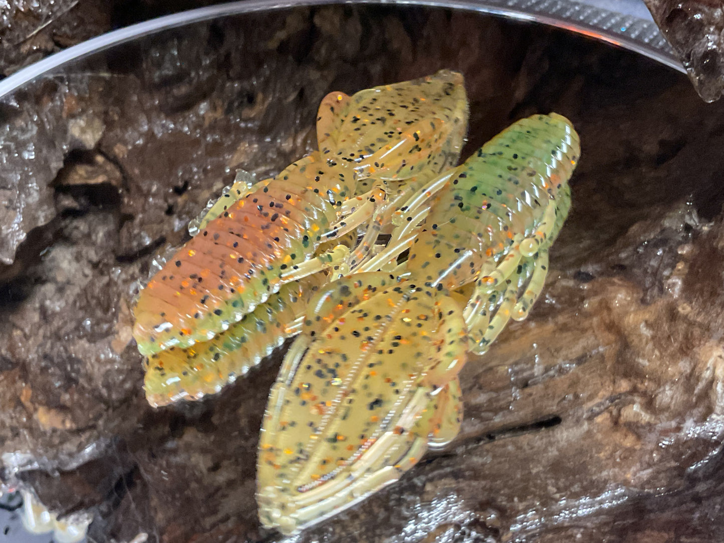 Car & Char Fire Swirl