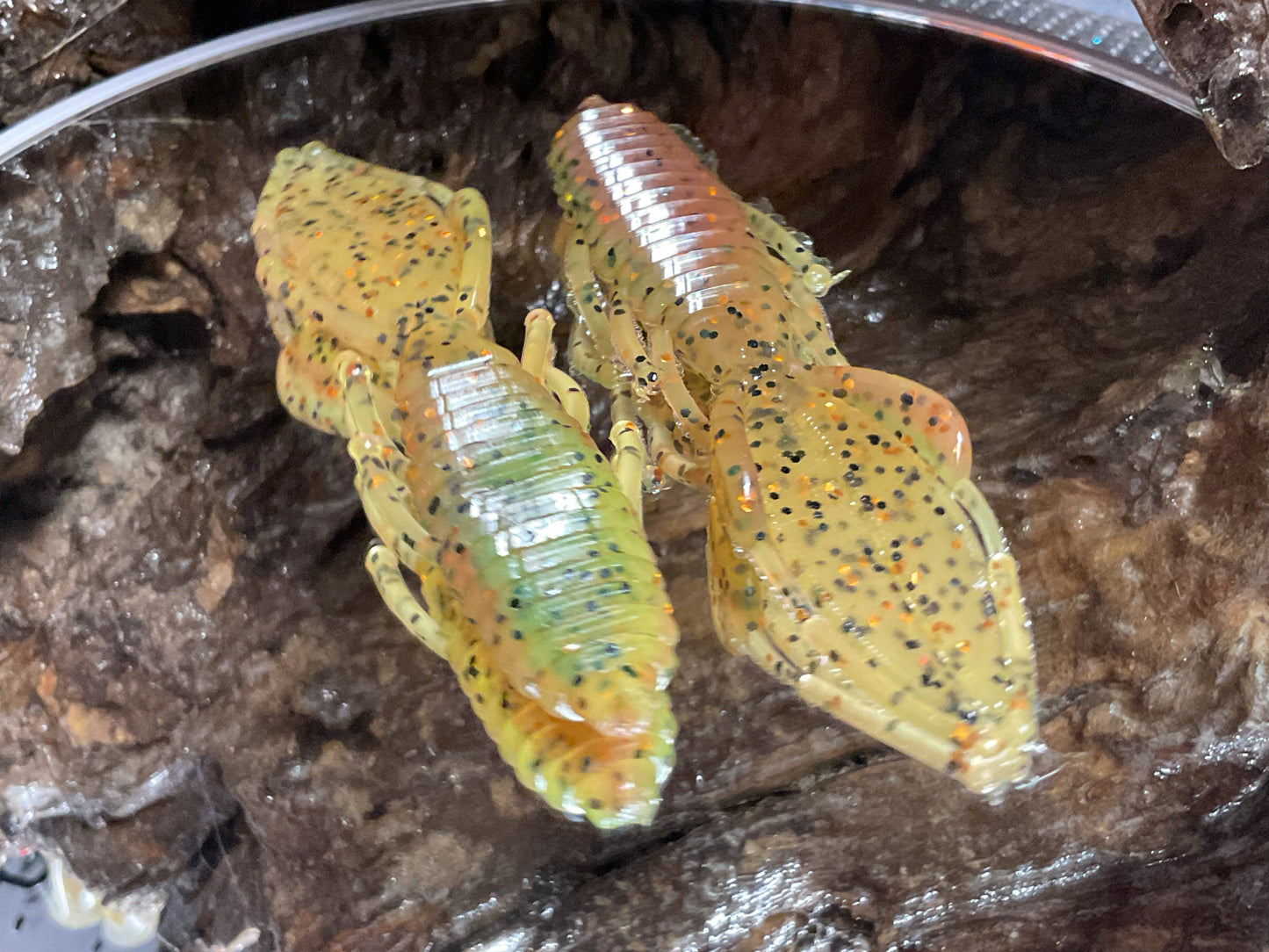 Car & Char Fire Swirl