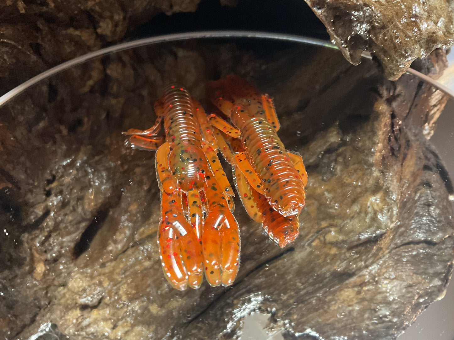 Rotten Ketchup Swirl
