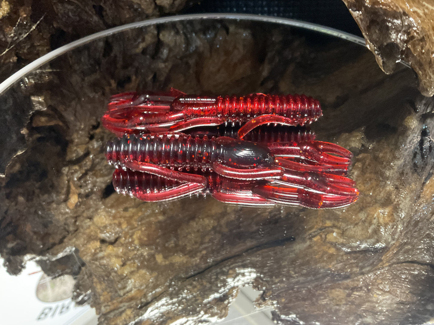 Black Cherry Swamp swirl