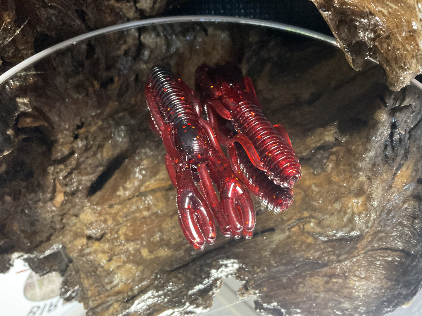 Black Cherry Swamp swirl