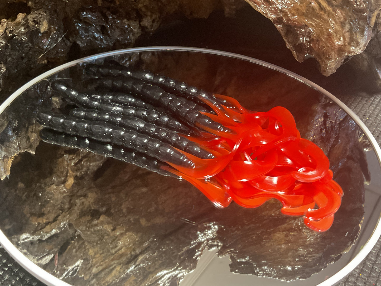 Black - Red Tail