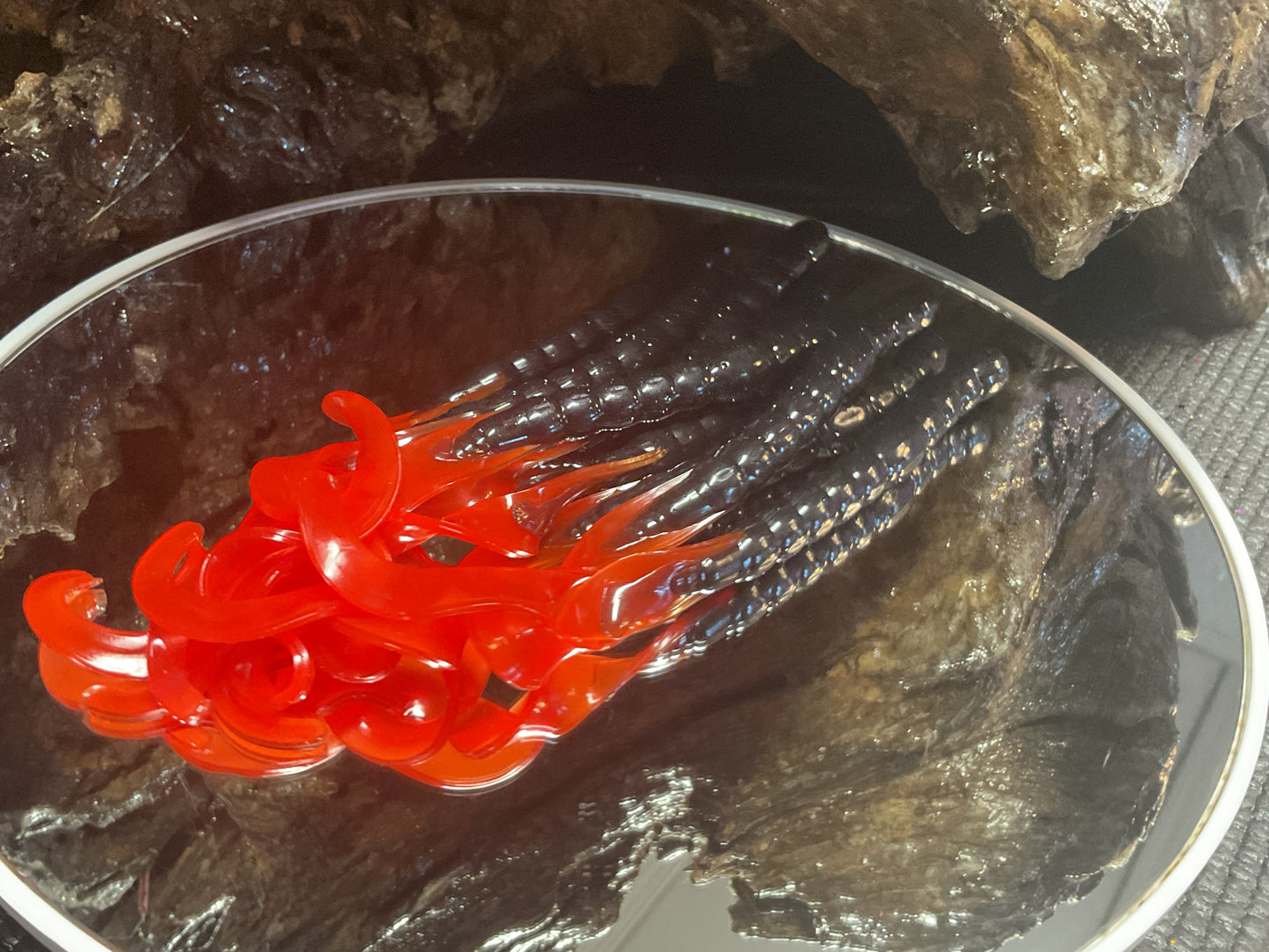 Black - Red Tail