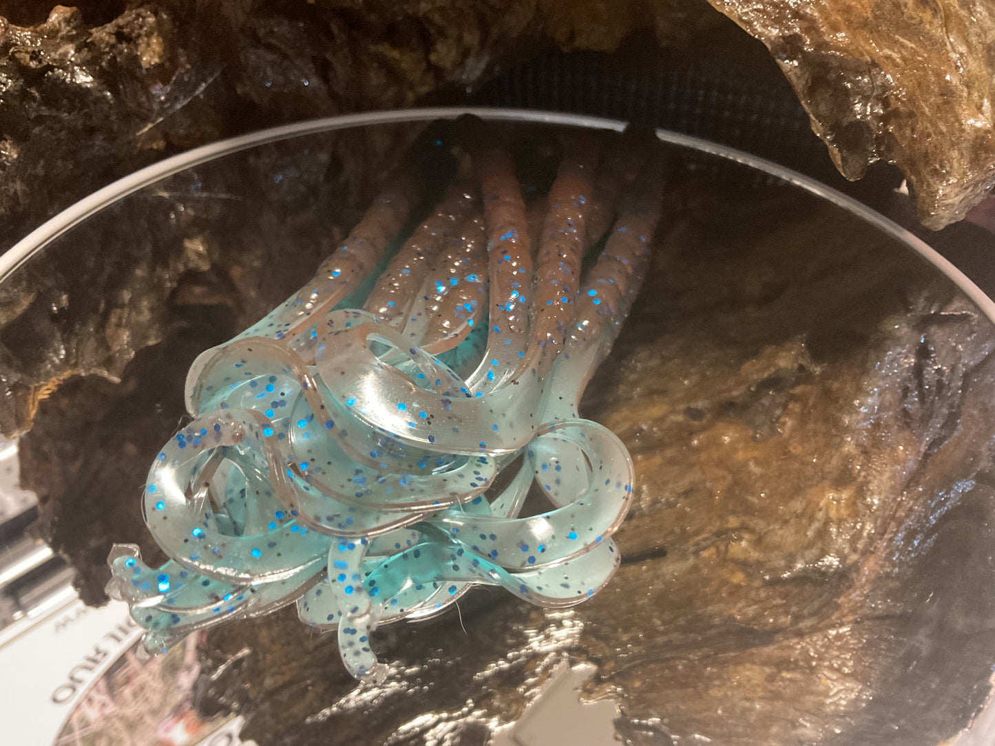Blue Craw