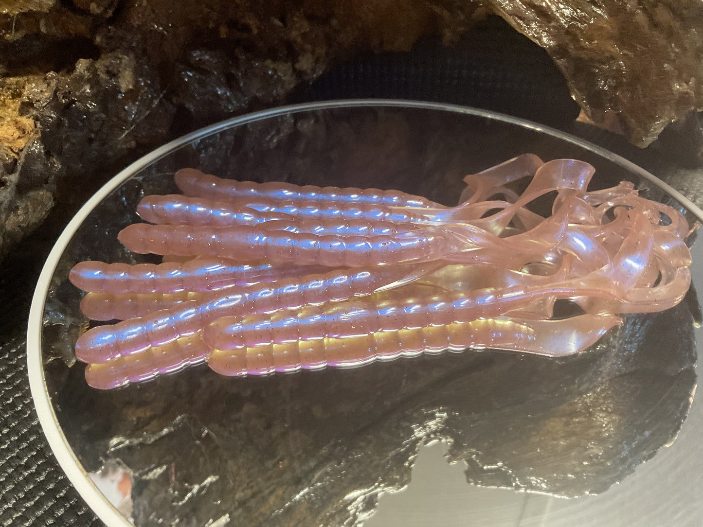 Earthworm Blue
