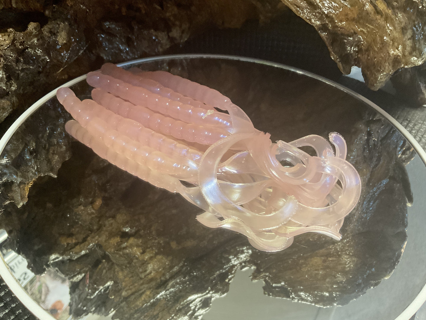 Pink Earthworm