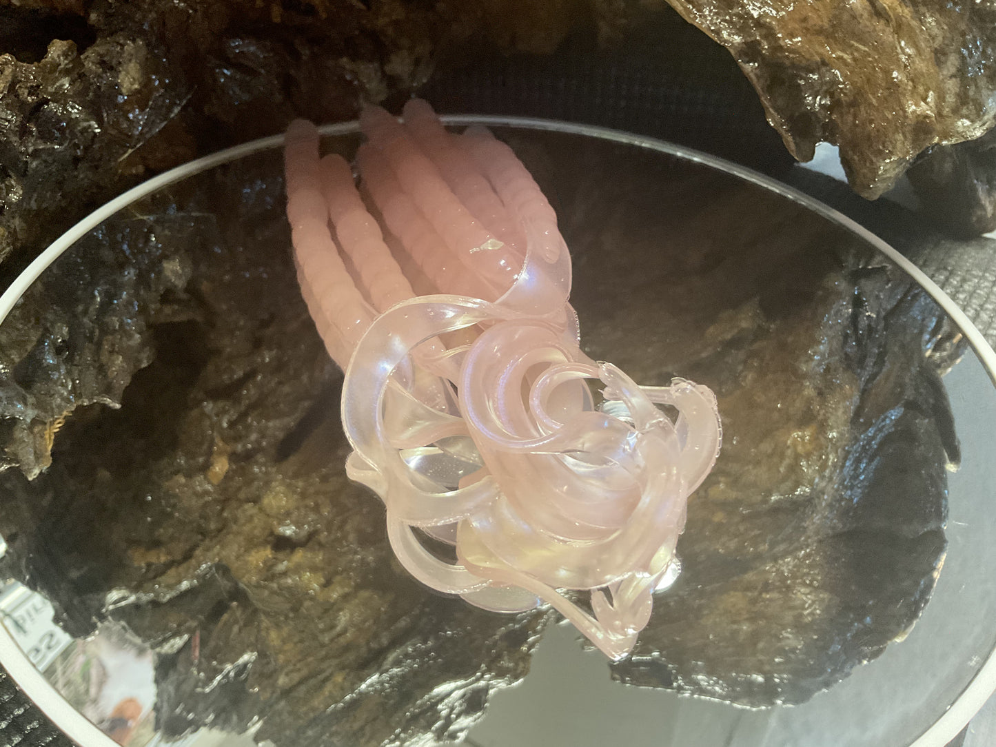 Pink Earthworm
