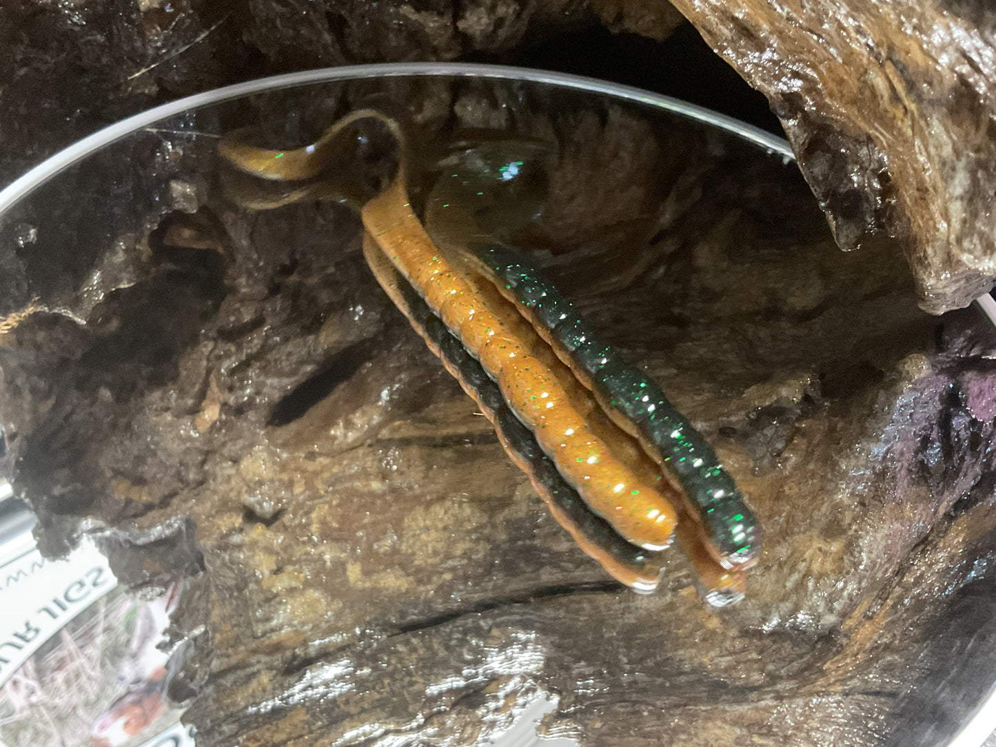 Craw Daddy Green