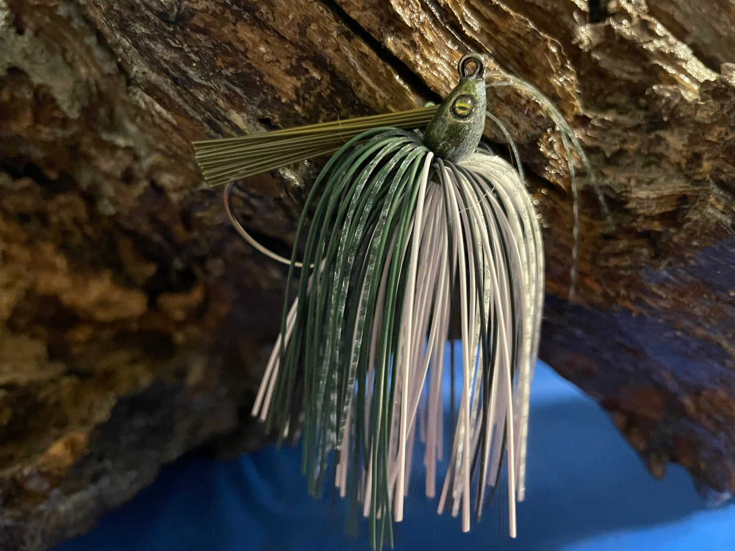 Baby Bass Casting
