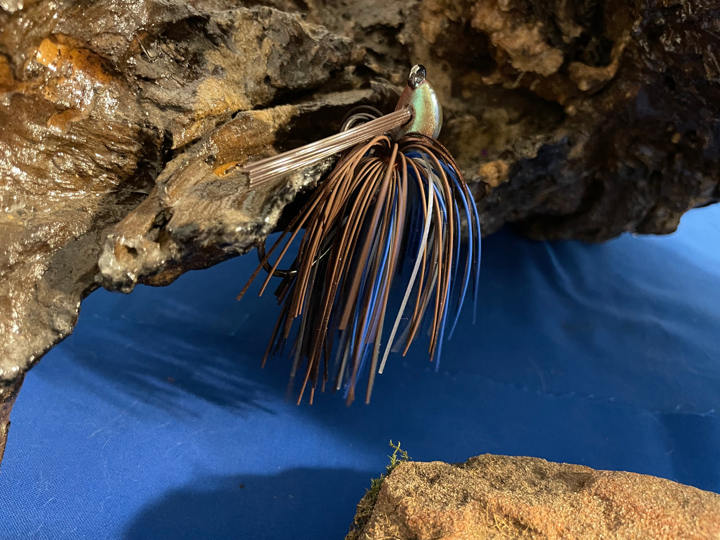 Okeechobee Craw