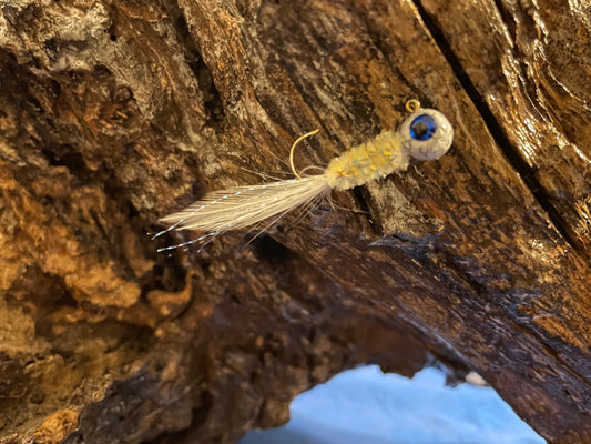 Baitfish - 1
