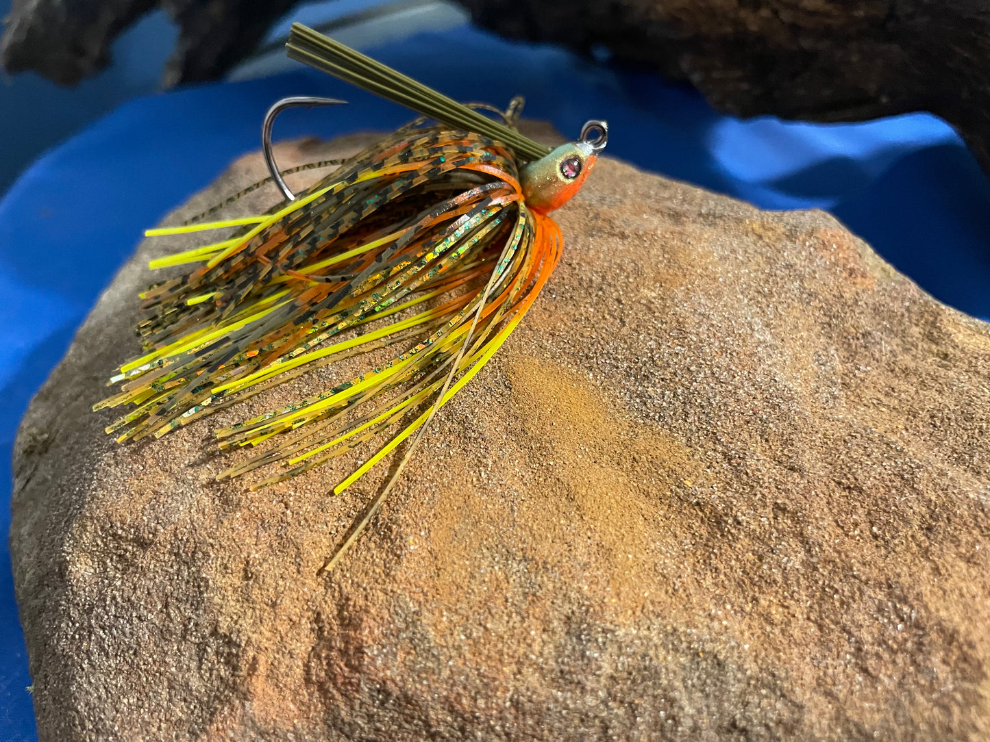 Dollar Sunfish