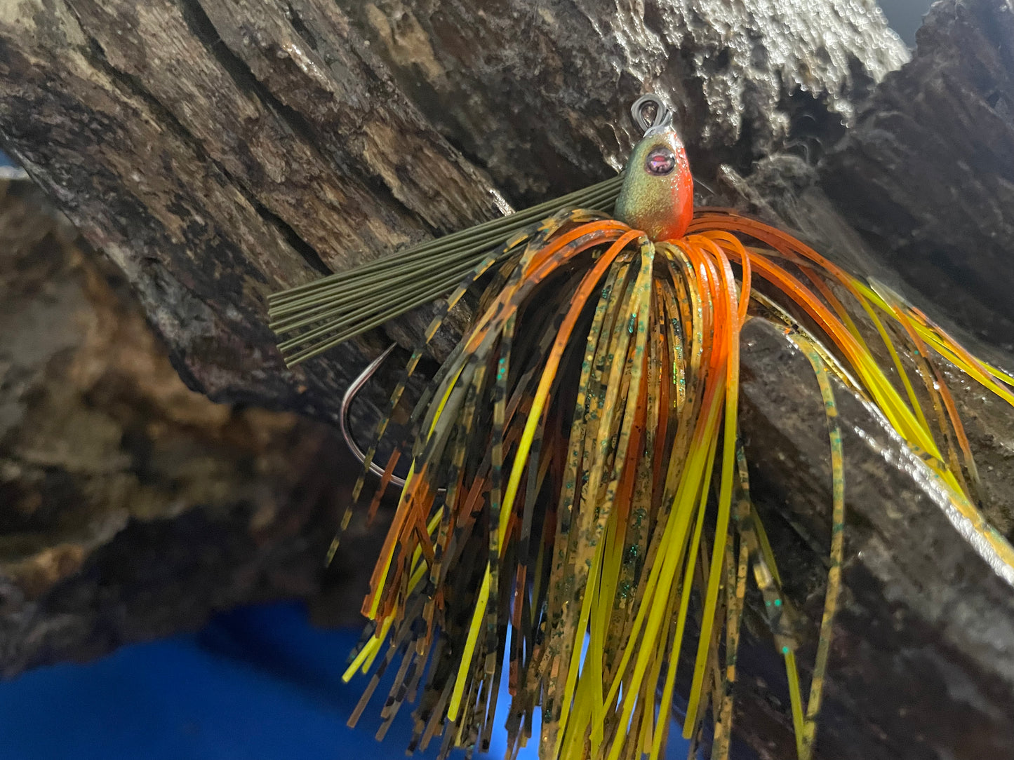 Dollar Sunfish