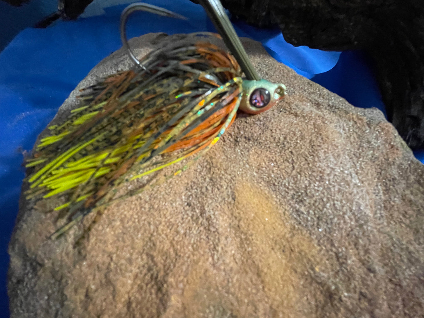 Dollar Sunfish