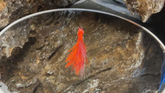 Havoc’s Fire Minnow