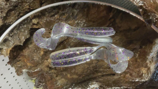 Gizzard Shad
