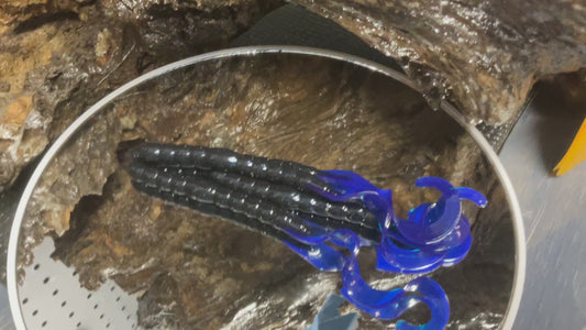 Black - Blue Tail