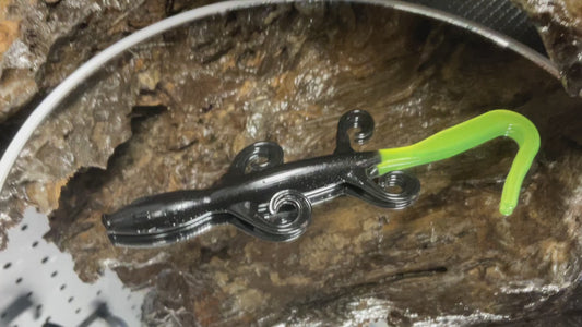 Black - Chartreuse Tail