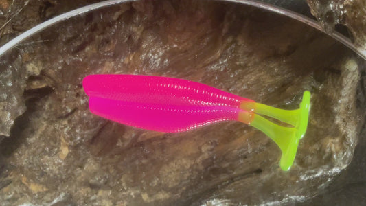 Hot Pink CT