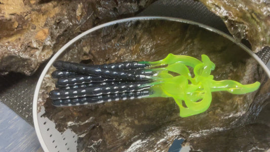 Black - Chartreuse Tail