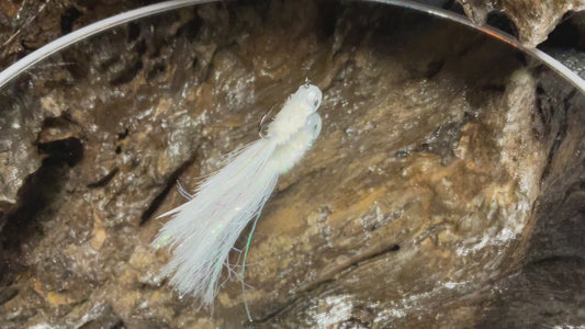 White Pearl Minnow