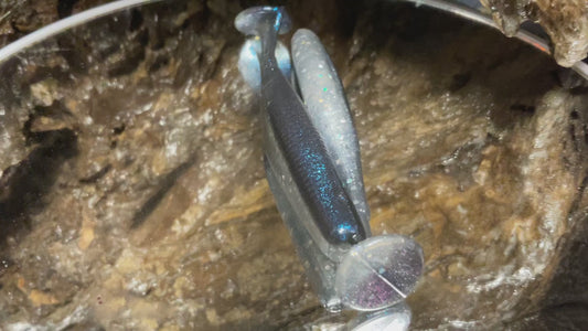 Blue Streak Shad