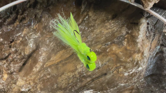 Fancy Radiation Minnow