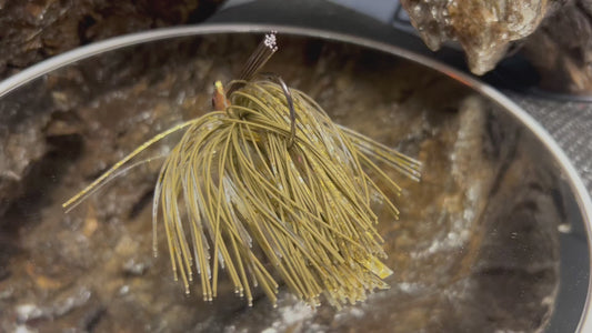 Gold River Roach