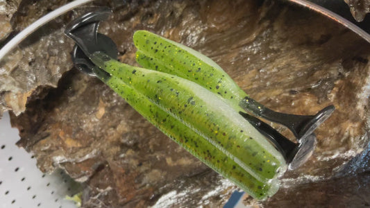 Baby Bass