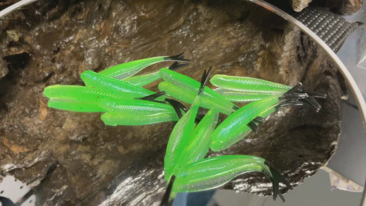 Alien Shine / Black Tail