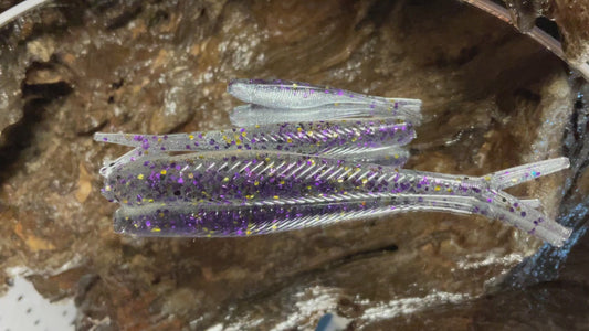 Gizzard Shad Tracers