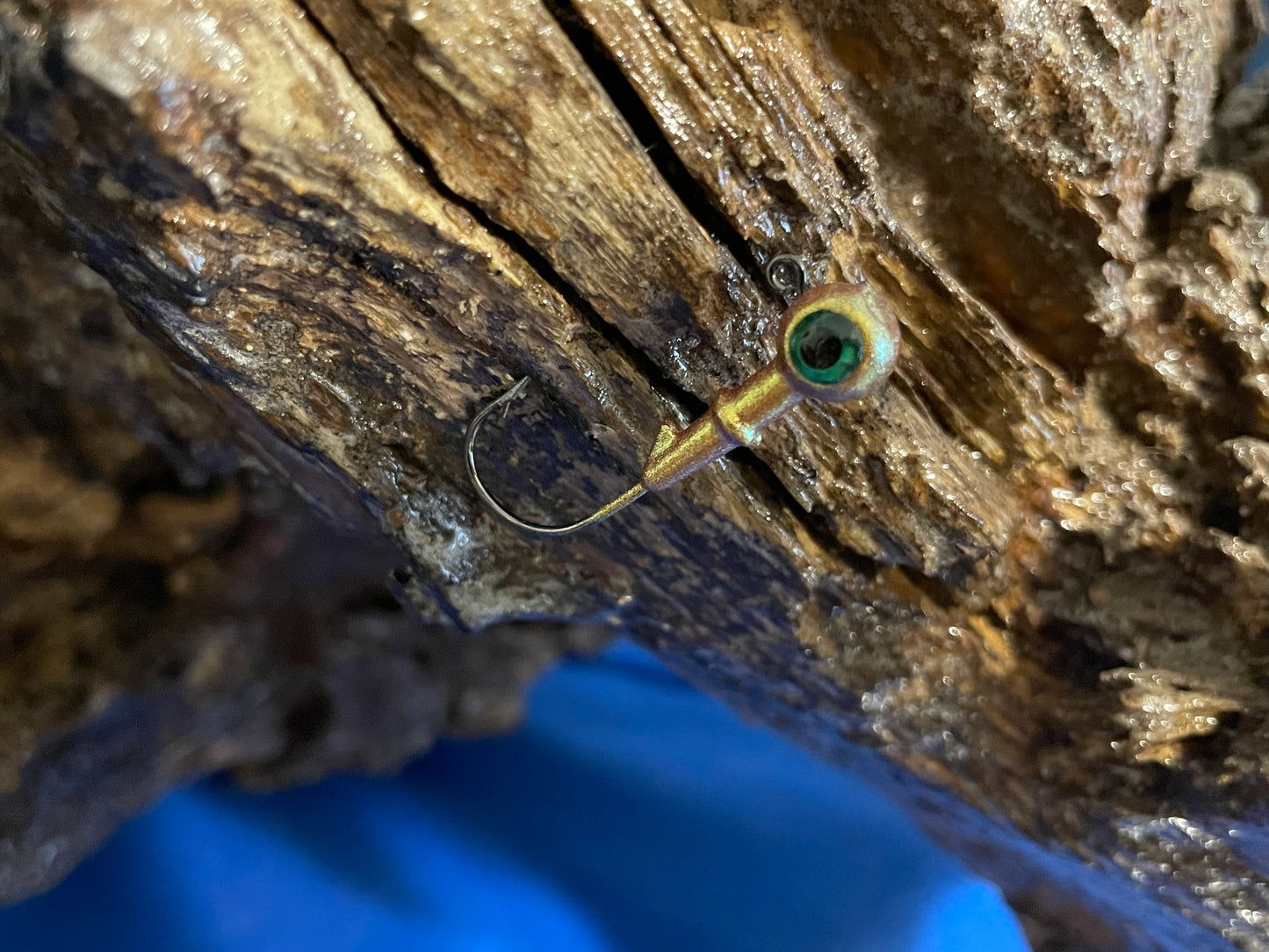 Round head with eyes